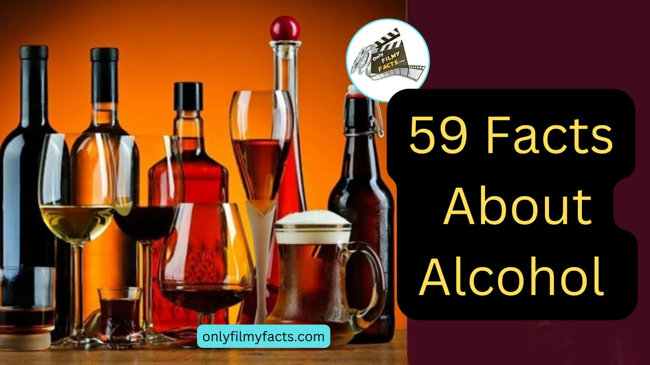 Do You Know This 59 Facts about Alcohol