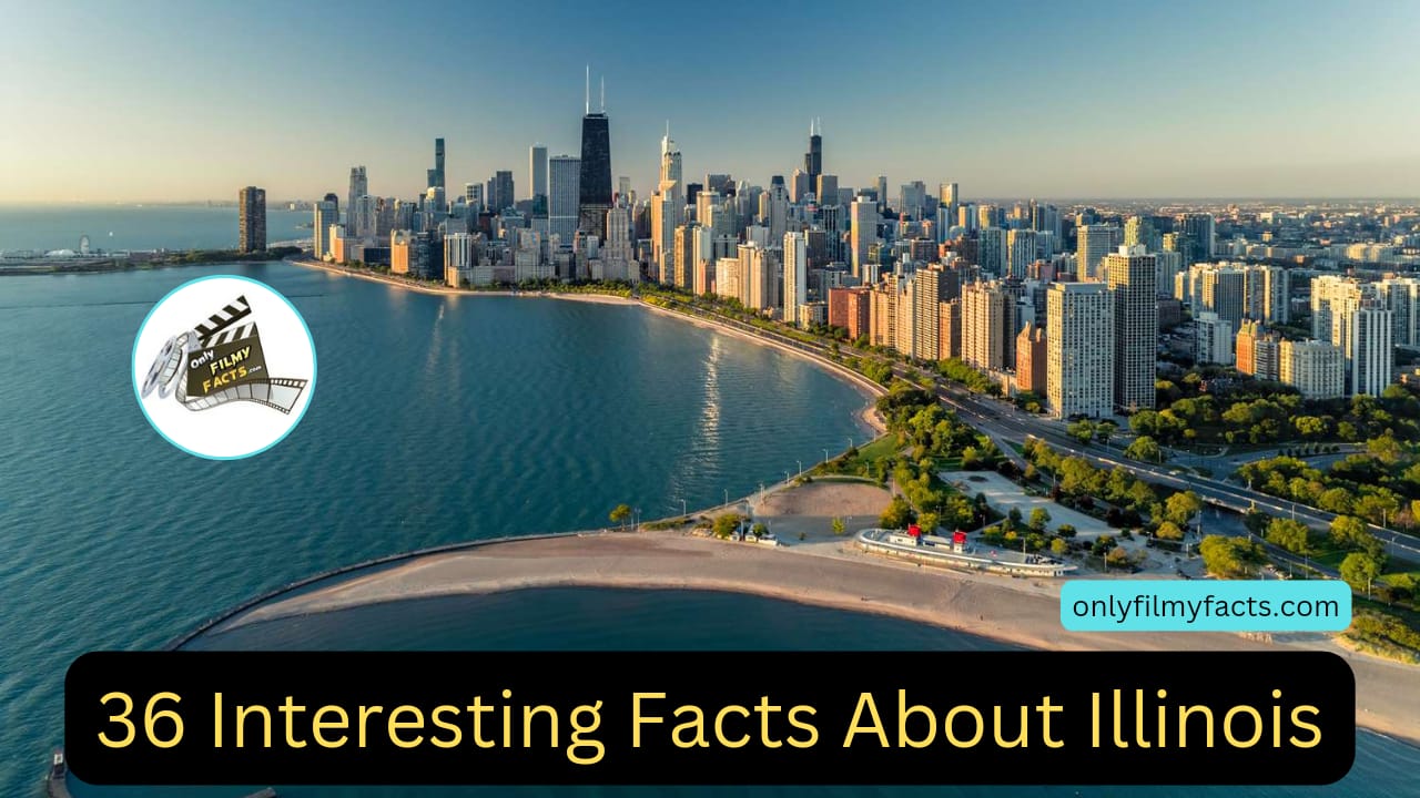36 Illinois Interesting Facts: History, Geography, And More
