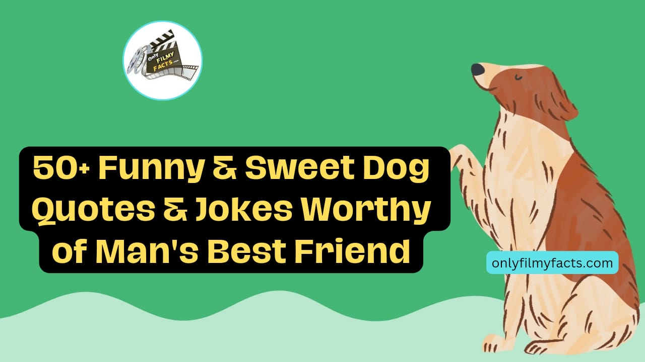 50+ Funny & Sweet Dog Quotes And Jokes Worthy Of Man's Best Friend