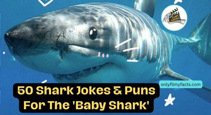 Some Interesting 50 Shark Jokes & Puns For The 'Baby Shark' Enthusiast In Your Life
