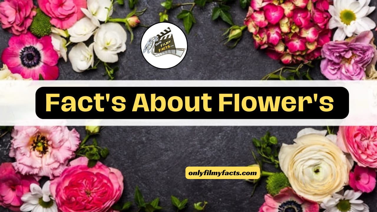 Flowers: 29 Fun n Amazing Facts about Flowers