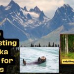 30 Interesting Alaska Facts for Kids