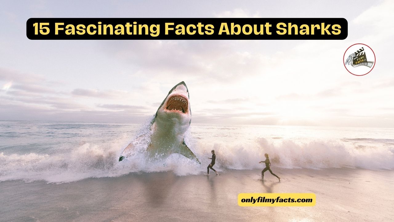 15 Fascinating Facts About Sharks