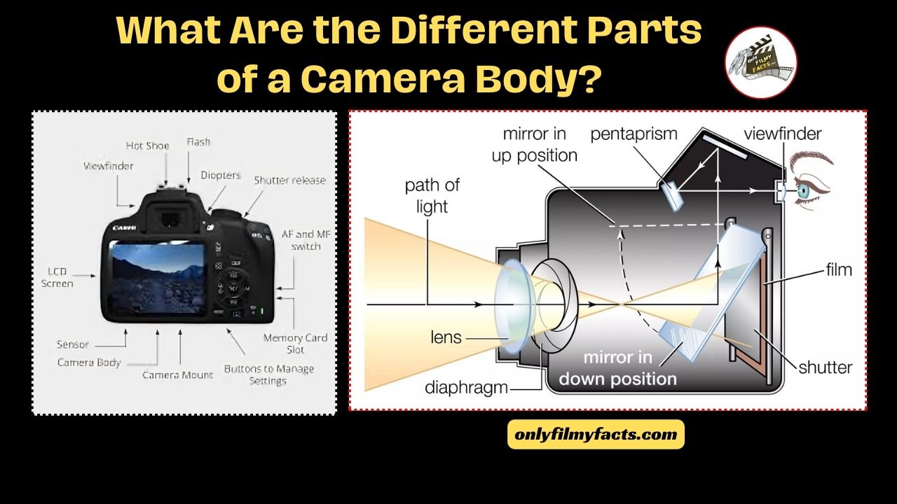 What Are the Different Parts of a Camera Body