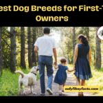 10 Best Dog Breeds for First-Time Owners