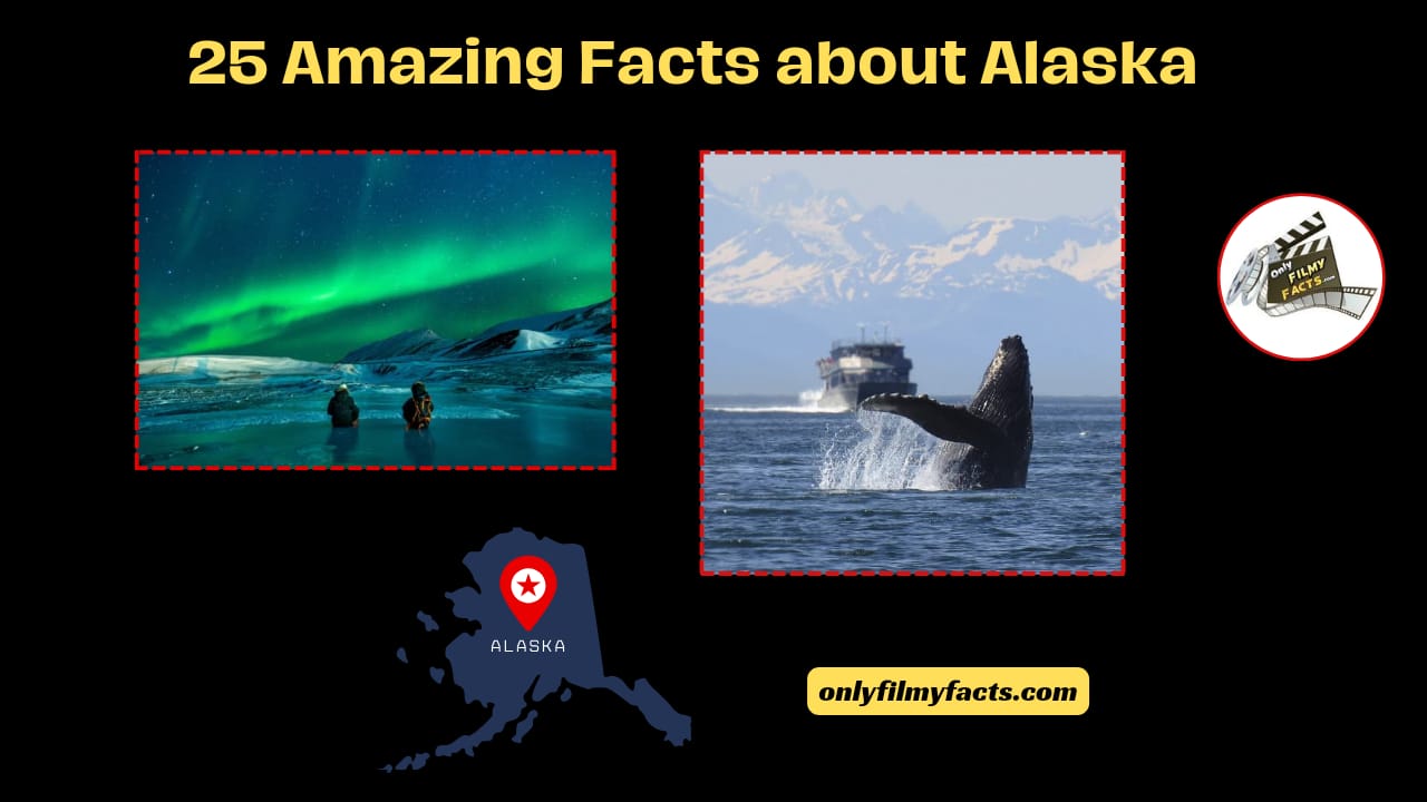 Interesting 25 Facts about Alaska & History